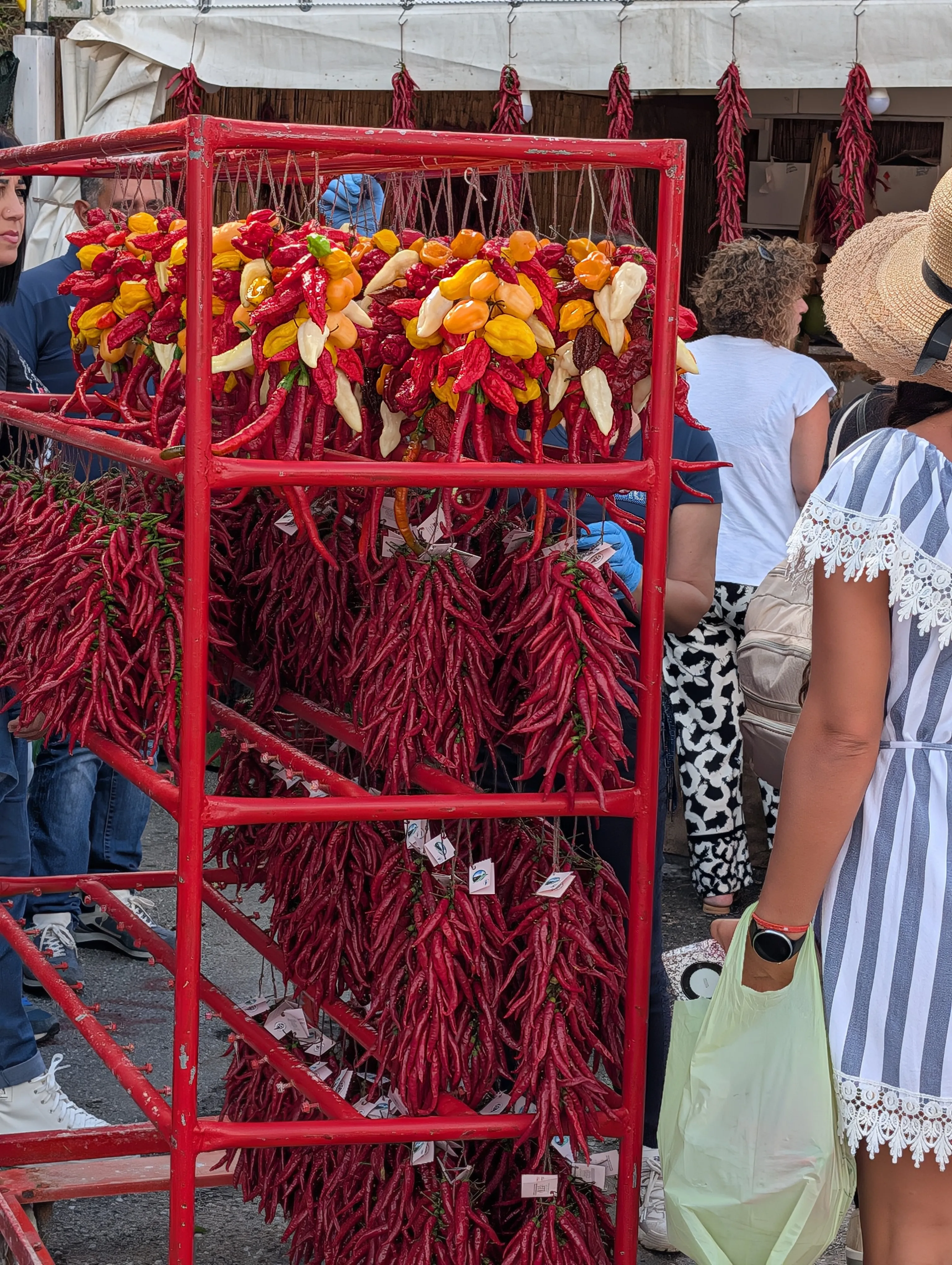 Hanging Peppers
