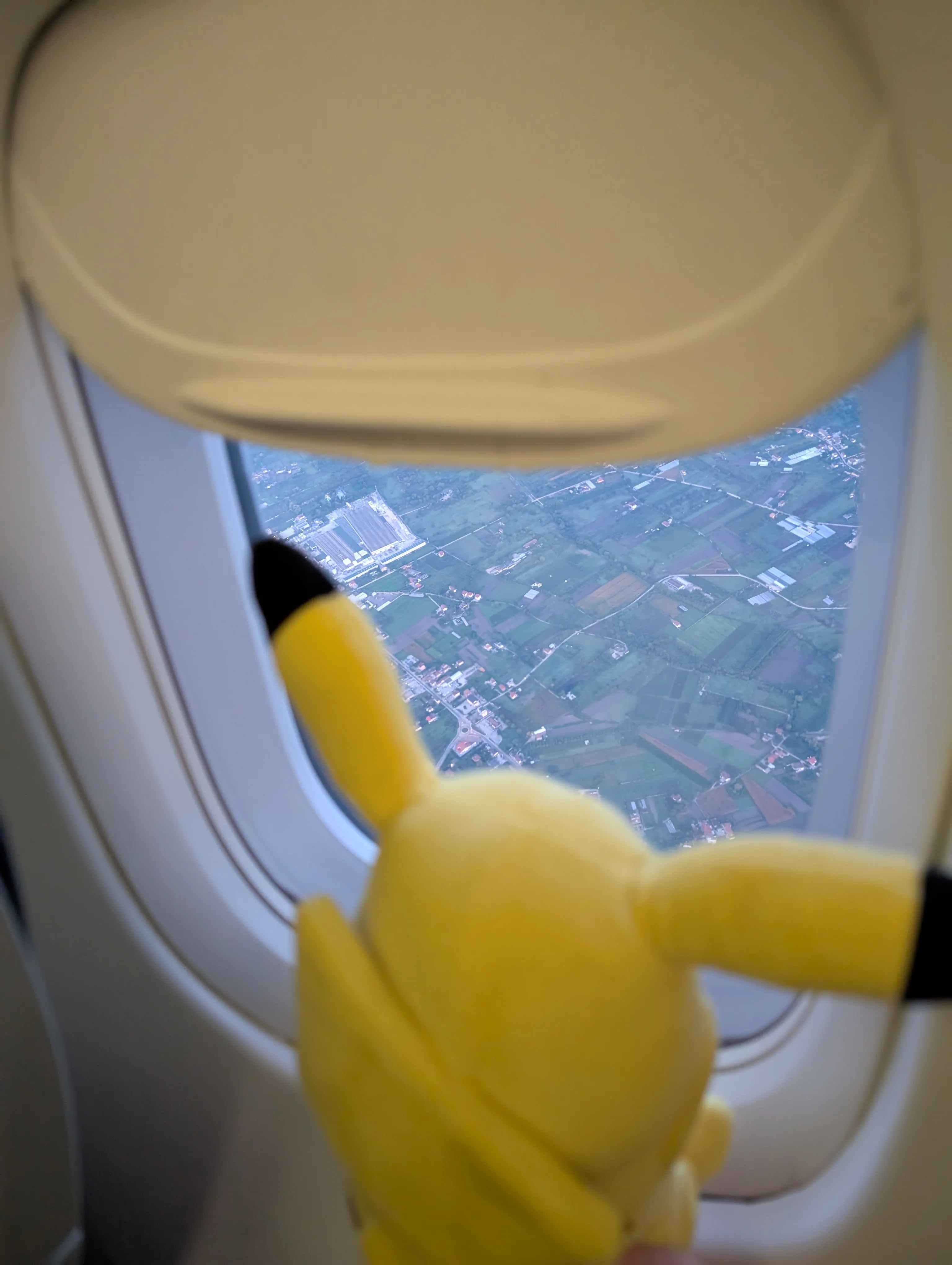 A mountain view entirely covered in fog