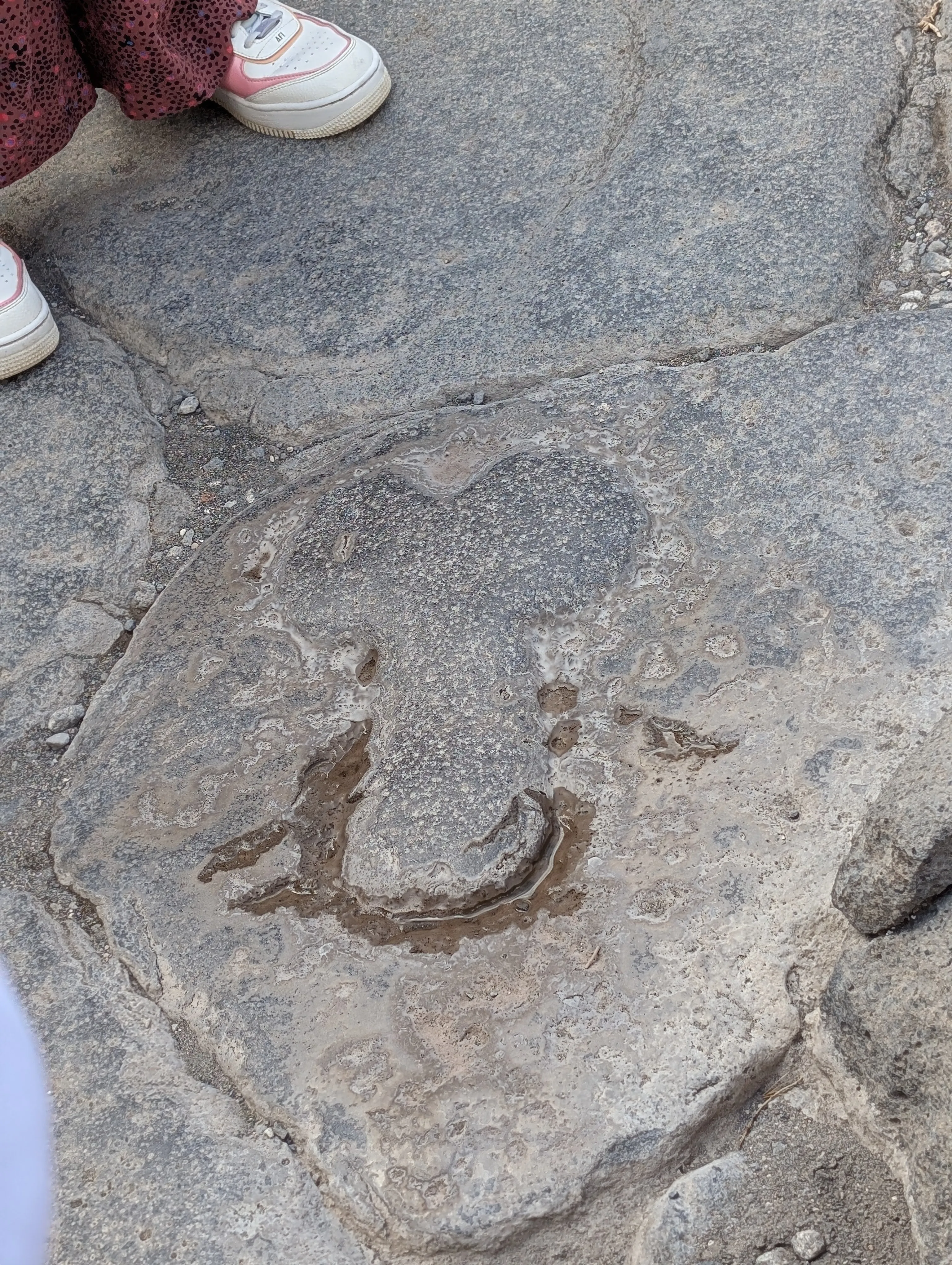 phallic symbol on the ground, pointing to the Lupanares